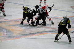 IMG_9517
