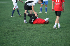 IMG_4277