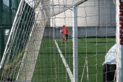 IMG_3365